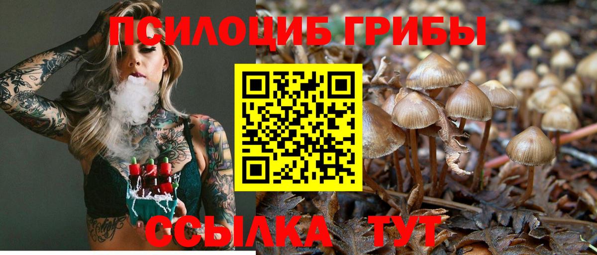 Галлюциногенные грибы Magic Shrooms Ревда
